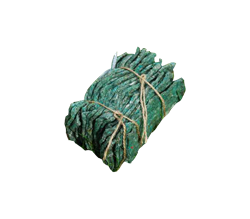 Obrázek z Typhlodromus pyri - balení 50 pásů