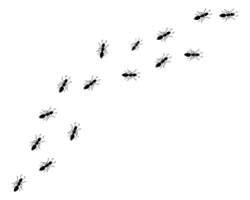 Obrázek kategorie Ochrana proti mravencům