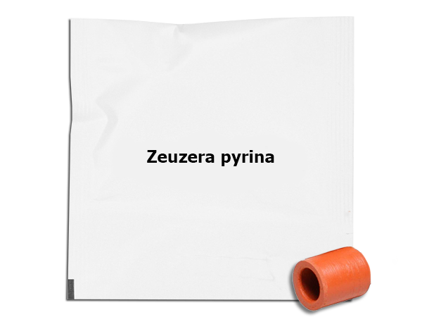 Obrázek z Odparník ZP